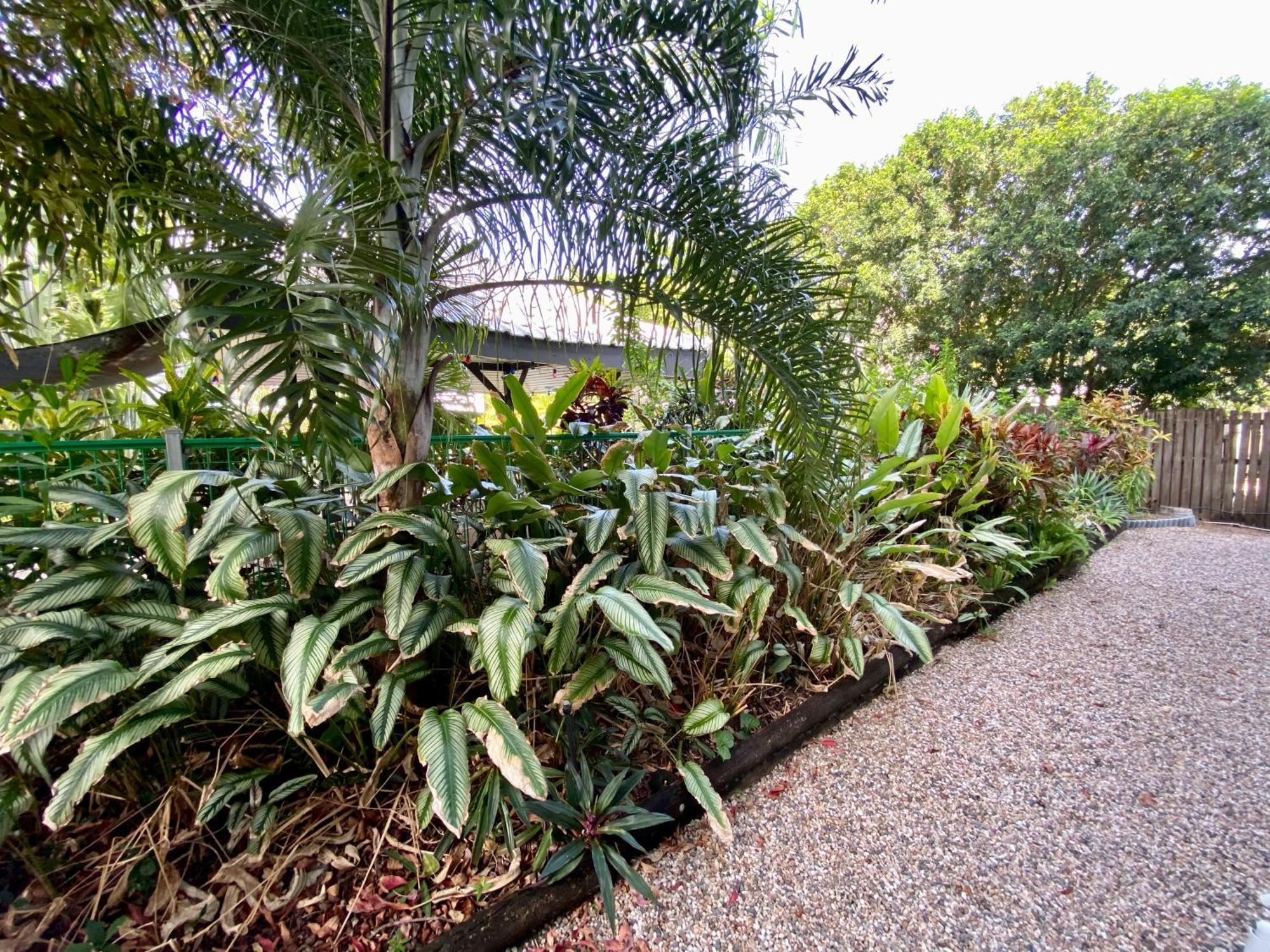 Reef Gateway Apartments Cairns Eksteriør bilde